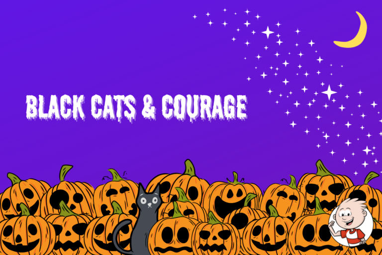 Black Cat in Pumpkin Patch