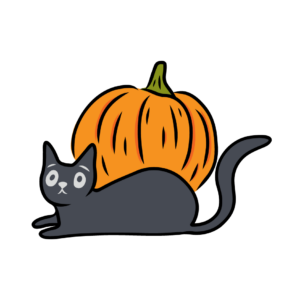 Black Cat & Pumpkin